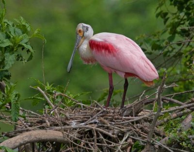 _DSC1189_edited-2.jpg