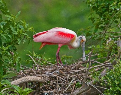 _DSC1193_edited-3.jpg