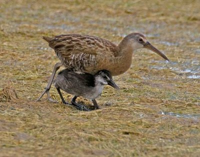 _DSC1726_edited-1.jpg