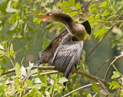 _DSC2856_edited-1.jpg