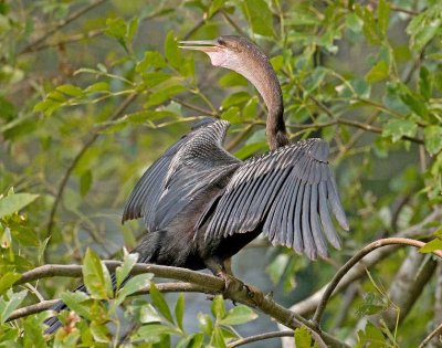 _DSC2860_edited-1.jpg