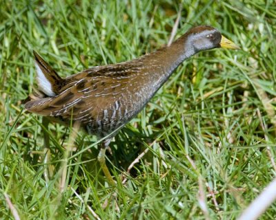 _DSC3794_edited-2.jpg