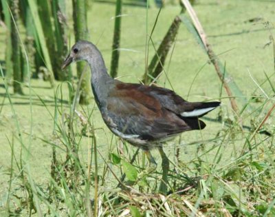 DSC_0026_edited-1.jpg