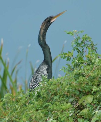 DSC_0029_edited-2.jpg