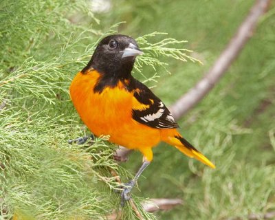 _DSC6755_edited-2.jpg