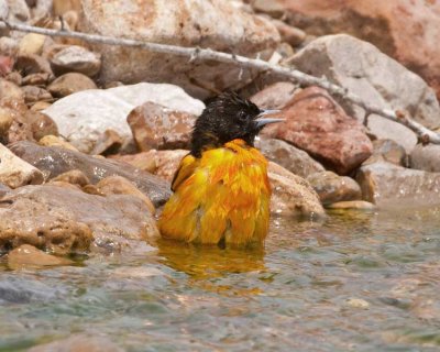 _DSC6845_edited-1.jpg