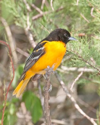 _DSC6903_edited-1.jpg