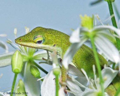 _DSC7580_edited-4.jpg