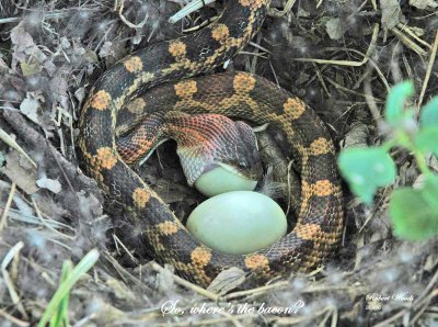 DSC_0001_edited-2.jpg