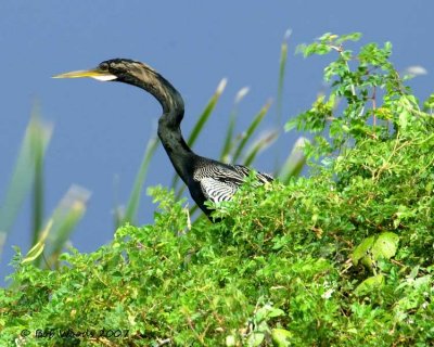 DSC_0037_edited-2.jpg