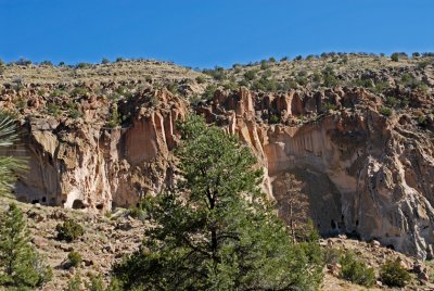 On the Entrance Road to Bandelier