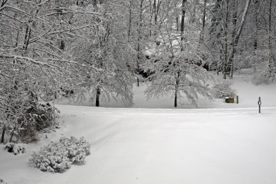 Lookin' Out My Front Door