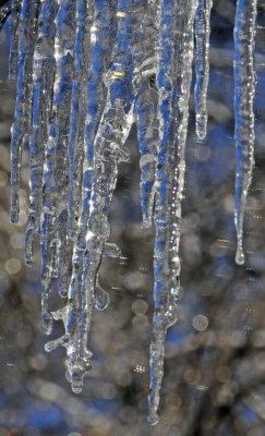 Icicles Reign Supreme ...