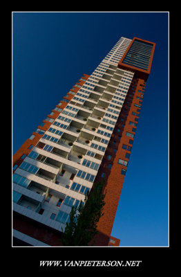 Rotterdam08.jpg