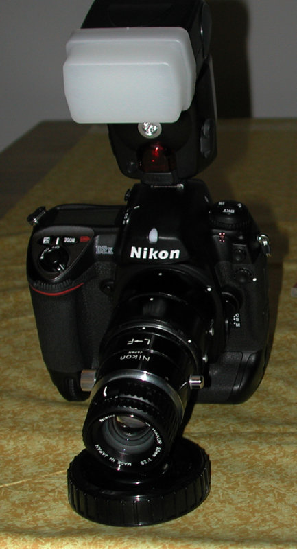 DSCN7422_1000.jpg