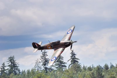 Flyday80908084x.jpg