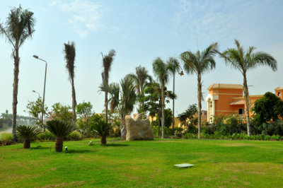 g1/41/650241/3/132093549.RF0RTIXl.jpg