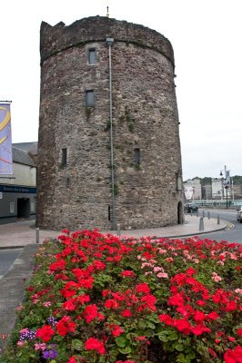 Waterford Reginald's Tower