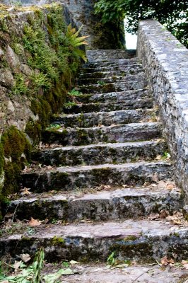 Blarney Castle