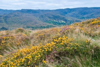 Ring of Kerry