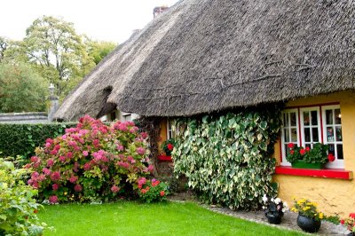 Adare