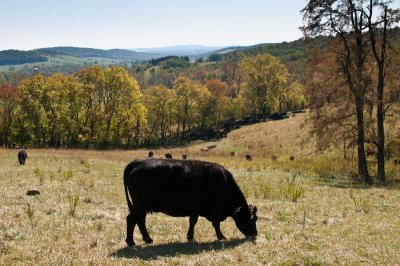 Sky Meadows State Park
