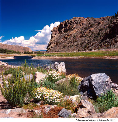 Gunnison River