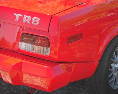 TR8 Rear Fender