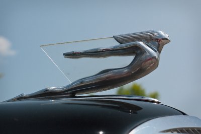 Caddy Hood Ornament