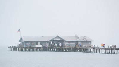 Anna Maria City Pier in Fog