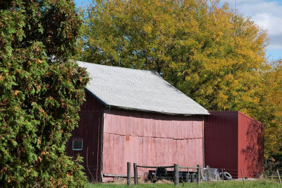 Red Barn among Golden Trees