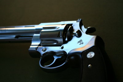 DPP_1794.JPG