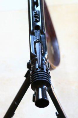 DPP_2189.JPG