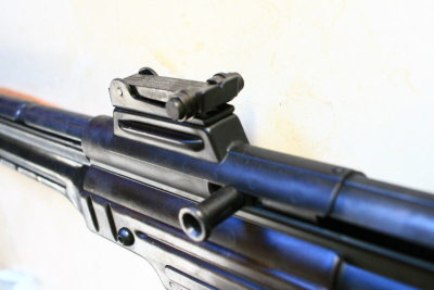 DPP_2229.JPG