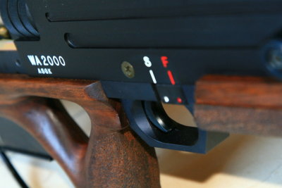 DPP_2333.JPG