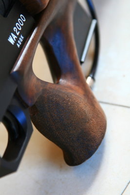 DPP_2381.JPG