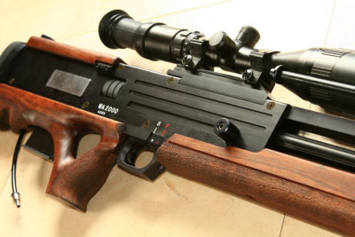 DPP_2430.JPG