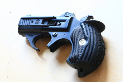 DPP_2528.JPG