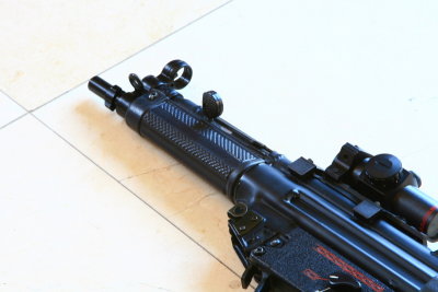 DPP_2666.JPG