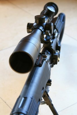 DPP_2708.JPG