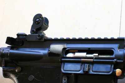 DPP_0595.JPG