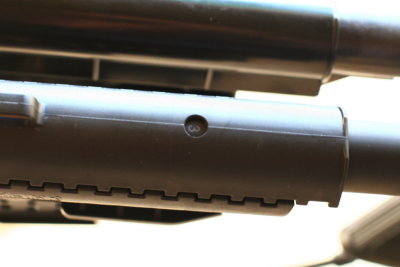 DPP_0612.JPG