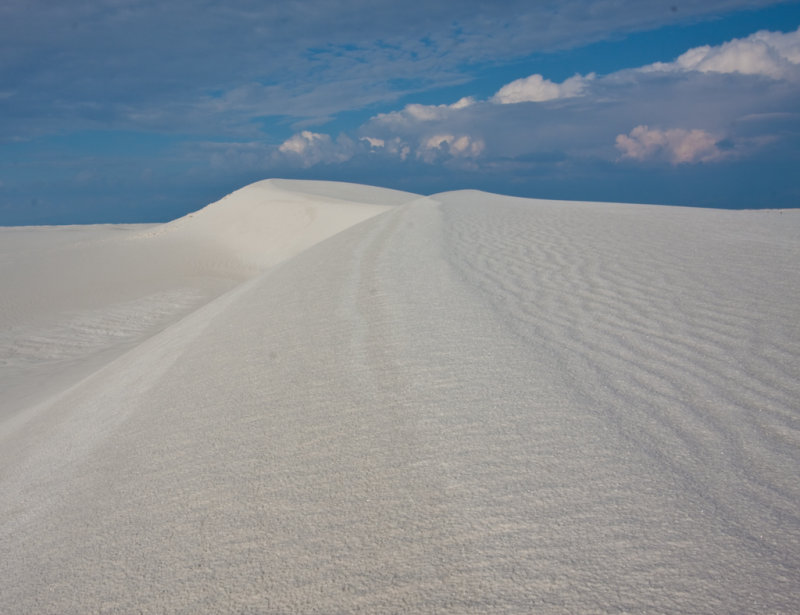 whitesands_sept09_mg_1171.jpg