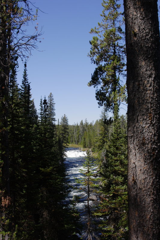 Bechler River Trail, Yellowstone