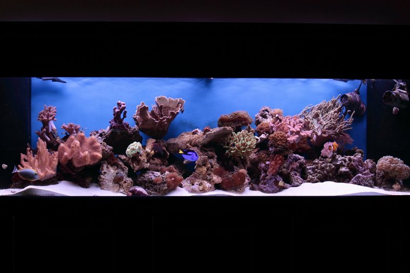 Upgrade to a  125 Gal. Tank 