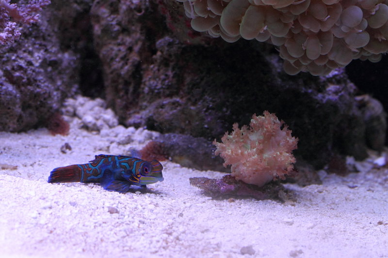 IMG_9453re.JPG