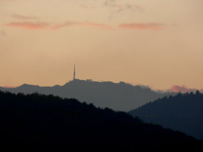 P1070927b.jpg