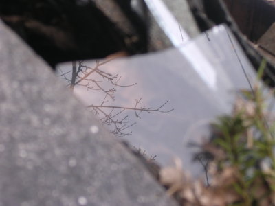 DSCN3726.JPG