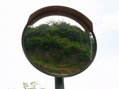 P1010270.JPG