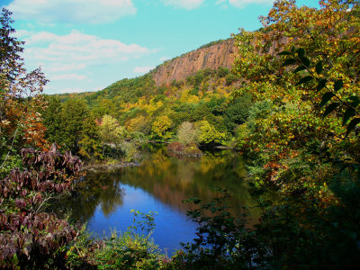 P1020269b.jpg